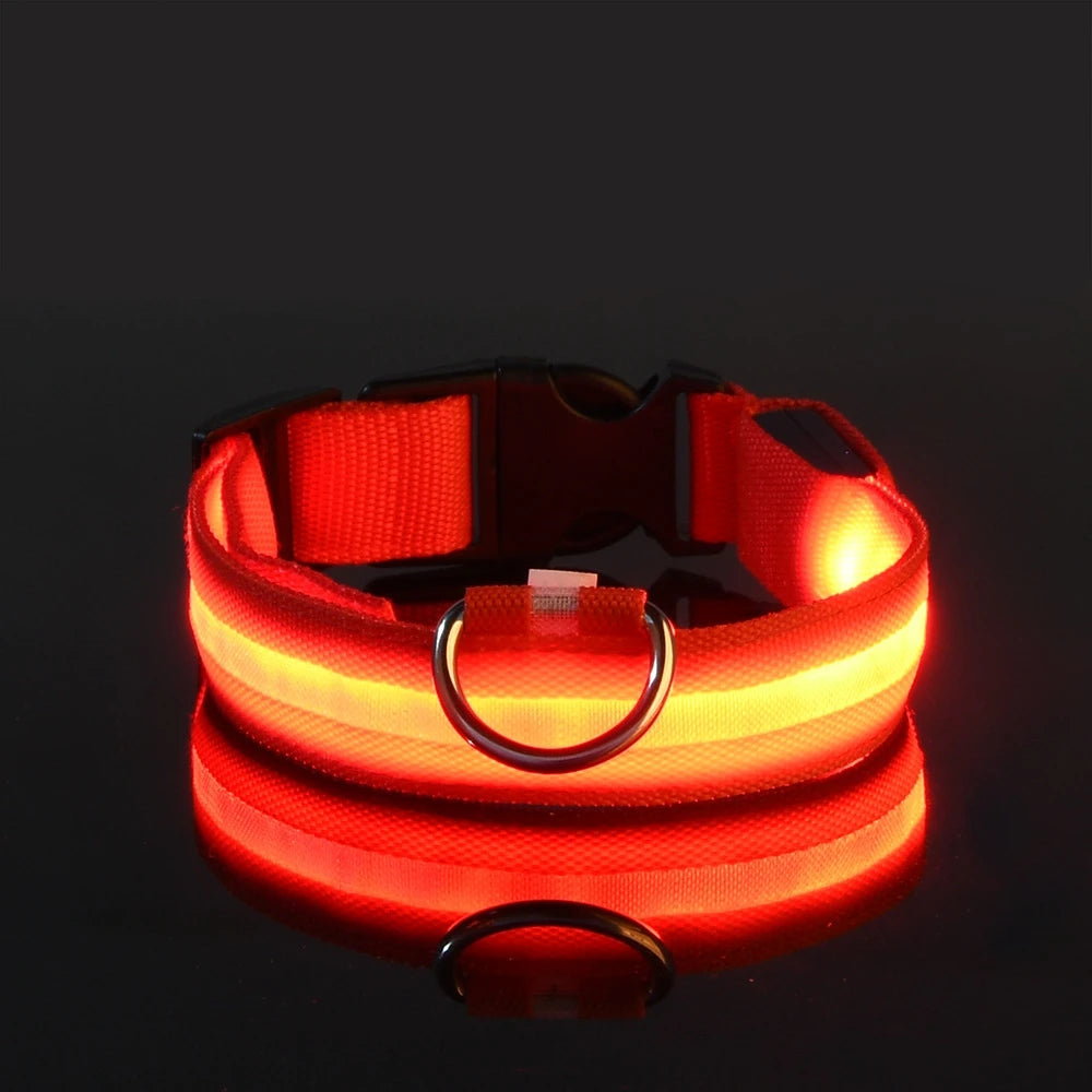 Collare per cani in nylon LED di sicurezza notturna lampeggiante che si illumina al buio
