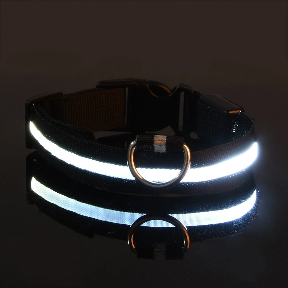 Collare per cani in nylon LED di sicurezza notturna lampeggiante che si illumina al buio