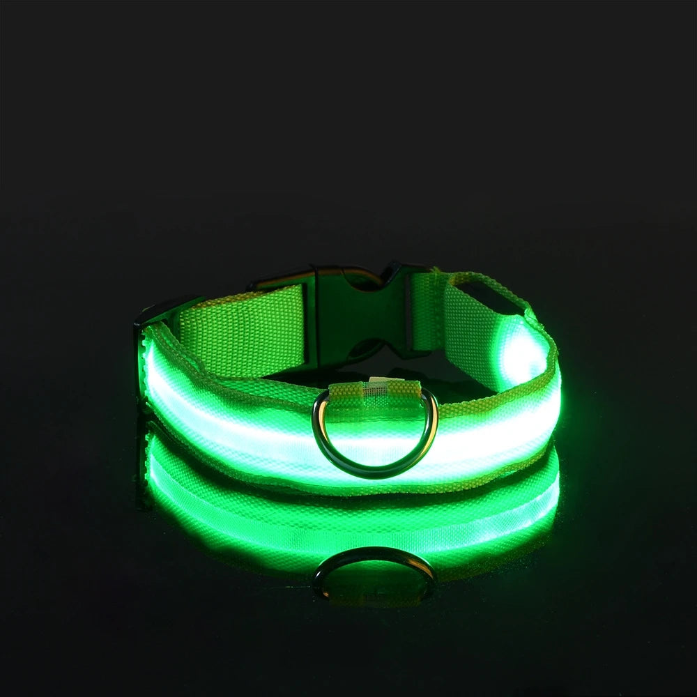 Collare per cani in nylon LED di sicurezza notturna lampeggiante che si illumina al buio