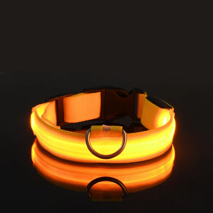 Collare per cani in nylon LED di sicurezza notturna lampeggiante che si illumina al buio