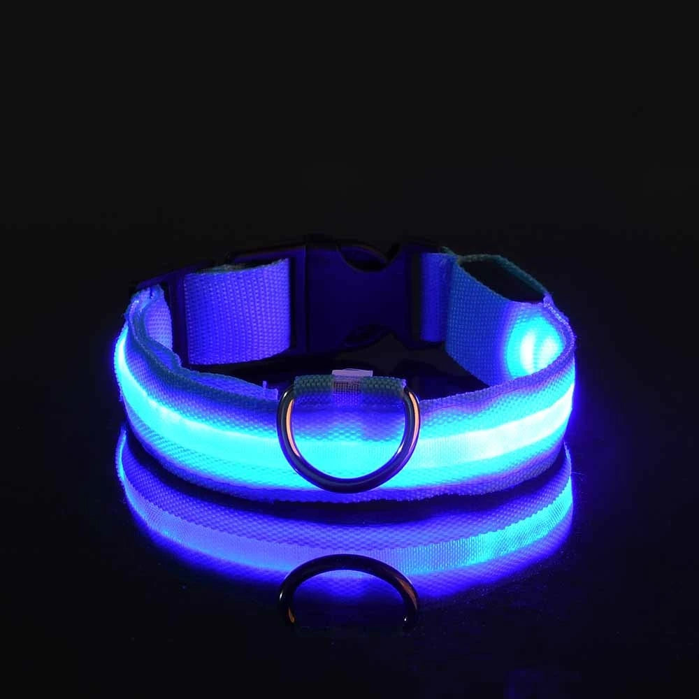 Collare per cani in nylon LED di sicurezza notturna lampeggiante che si illumina al buio