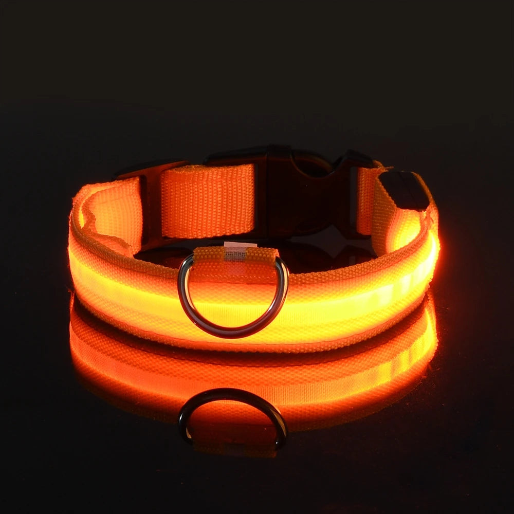 Collare per cani in nylon LED di sicurezza notturna lampeggiante che si illumina al buio