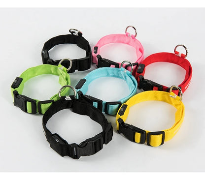 Collare per cani in nylon LED di sicurezza notturna lampeggiante che si illumina al buio