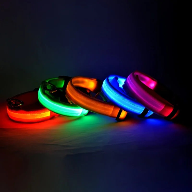 Collare per cani in nylon LED di sicurezza notturna lampeggiante che si illumina al buio