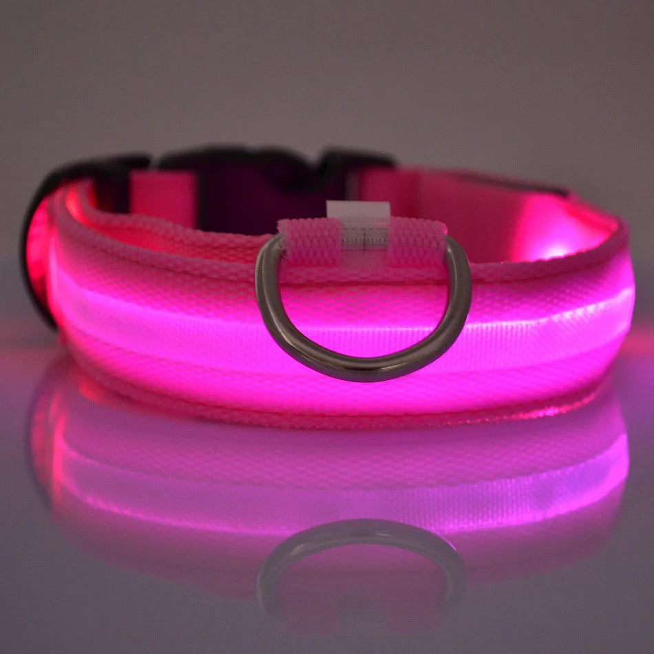 Collare per cani in nylon LED di sicurezza notturna lampeggiante che si illumina al buio