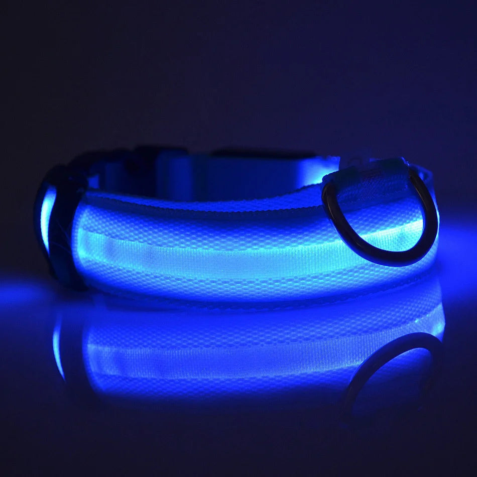 Collare per cani in nylon LED di sicurezza notturna lampeggiante che si illumina al buio
