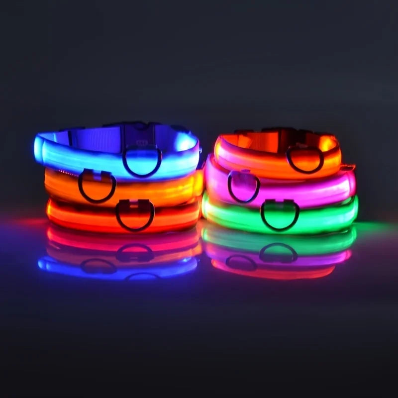 Collare per cani in nylon LED di sicurezza notturna lampeggiante che si illumina al buio