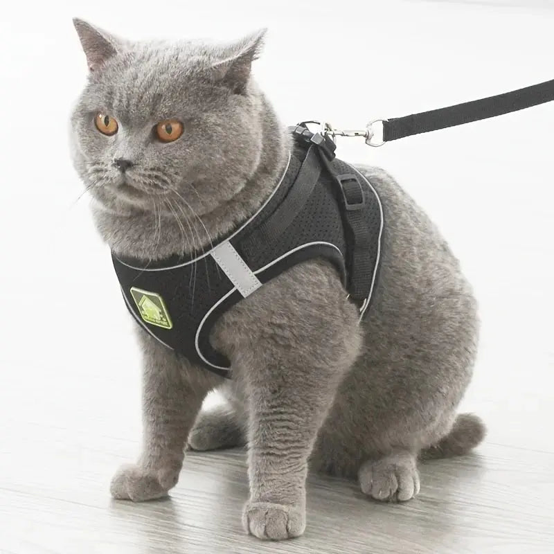 Pettorina e guinzaglio riflettenti per cani e gatti, pettorina per cani senza trazione con rete traspirante