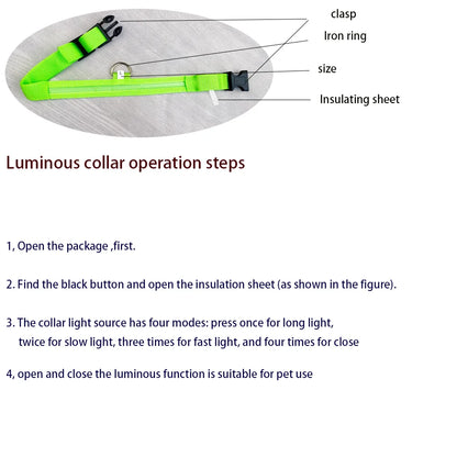 Collare per cani in nylon LED di sicurezza notturna lampeggiante che si illumina al buio
