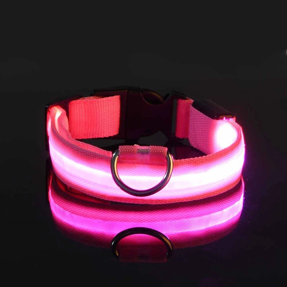 Collare per cani in nylon LED di sicurezza notturna lampeggiante che si illumina al buio