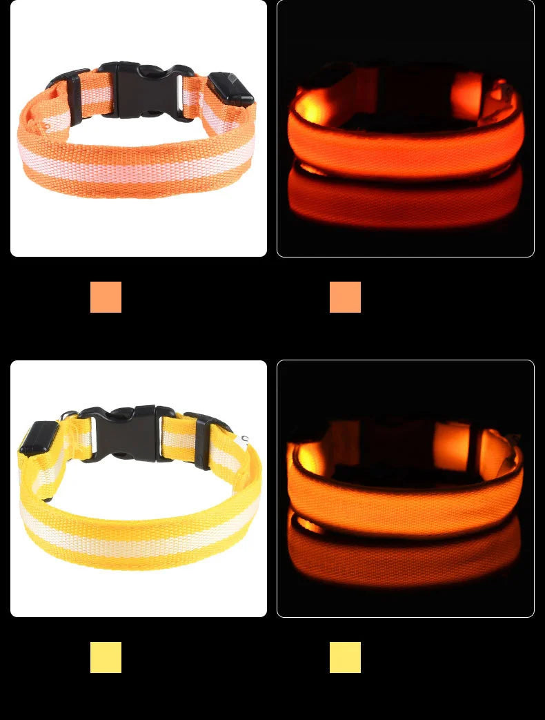 Collare per cani in nylon LED di sicurezza notturna lampeggiante che si illumina al buio
