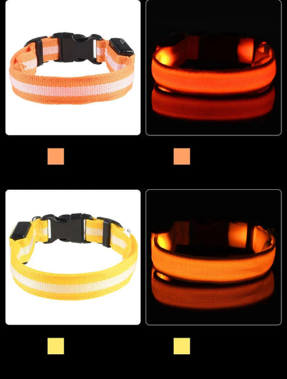 Collare per cani in nylon LED di sicurezza notturna lampeggiante che si illumina al buio