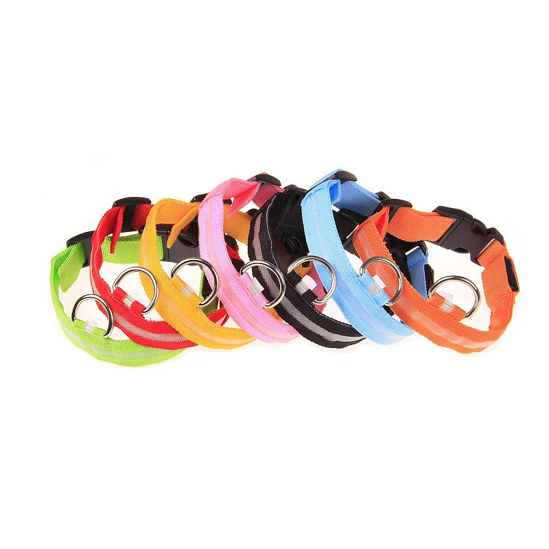 Collare per cani in nylon LED di sicurezza notturna lampeggiante che si illumina al buio