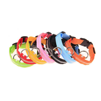 Collare per cani in nylon LED di sicurezza notturna lampeggiante che si illumina al buio