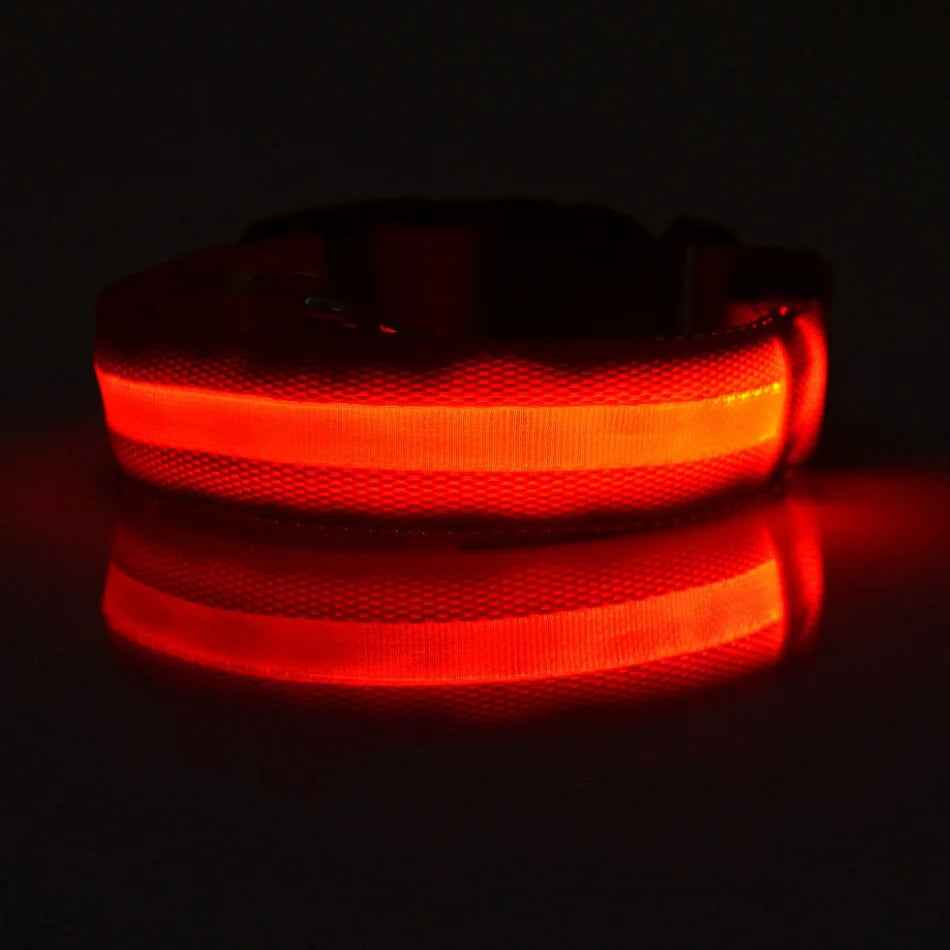 Collare per cani in nylon LED di sicurezza notturna lampeggiante che si illumina al buio