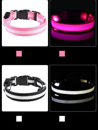 Collare per cani in nylon LED di sicurezza notturna lampeggiante che si illumina al buio