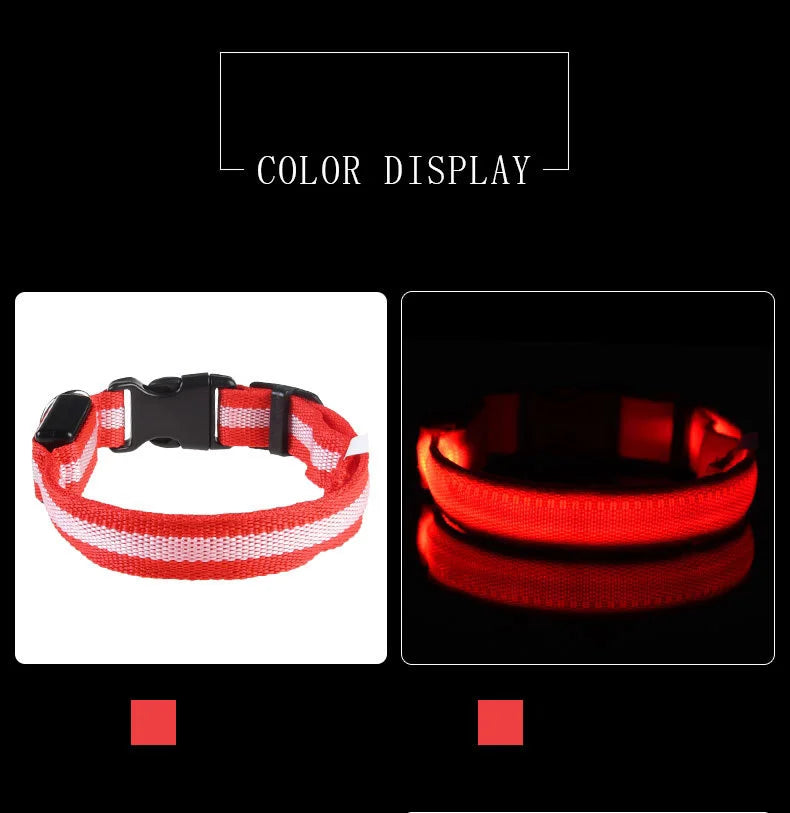 Collare per cani in nylon LED di sicurezza notturna lampeggiante che si illumina al buio